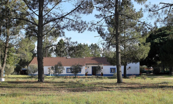 Alcacer do Sal House | A Casa do Pinheiro tem uma Área de 5.000m2 com Piscina