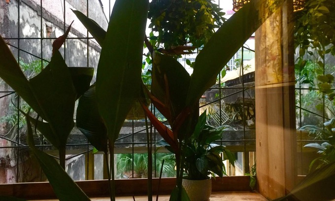 Hang Bai Apartment | A Green Home