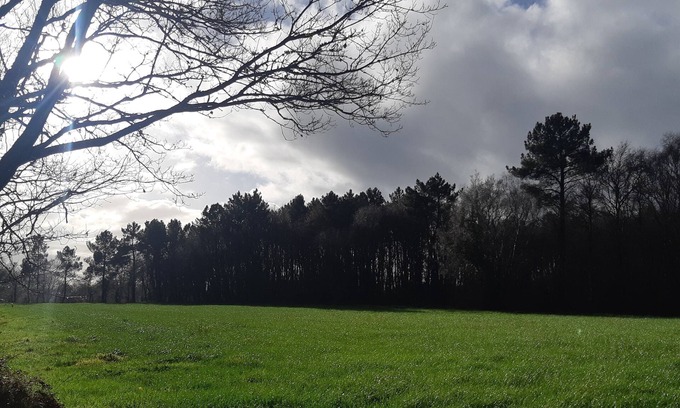 Mos House | A nice place and cottage in the countryside. Pets welcome