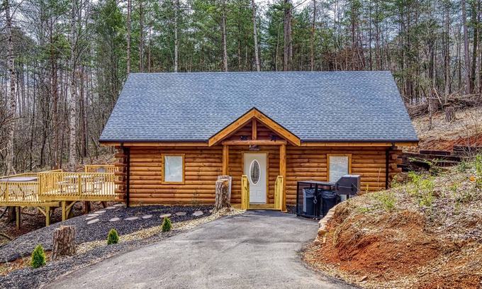 Newport Cabin | A Playful Bears Cabin: Get Ready for a Beary Good Time in the Smokies!