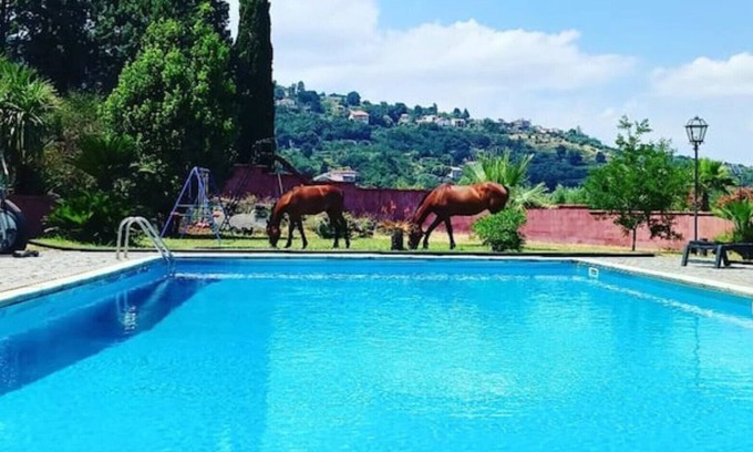 Puntalazzo Villa | A Sicilian guesthouse with Pool on Mt. Etna, perfect for Families & Groups/x16p.