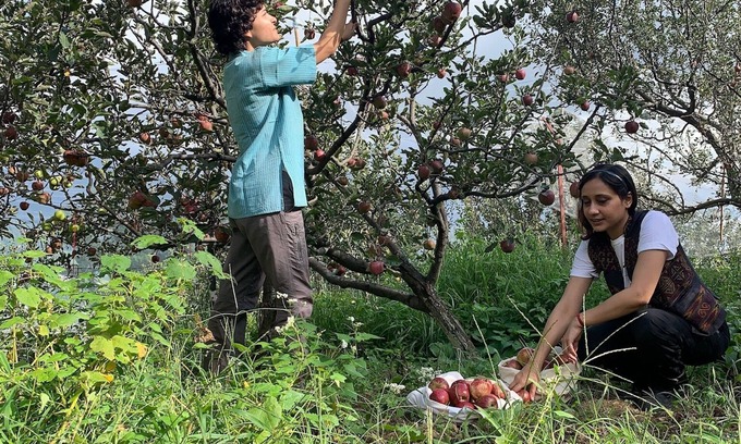 Theog Bed & Breakfast | A space for learning and living the practices of farming, yoga, and ceramics.