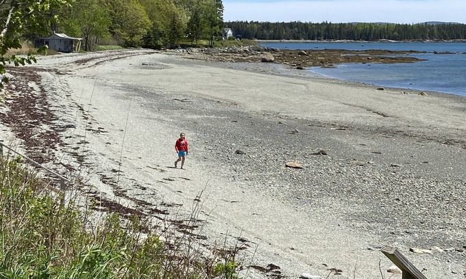 Trenton House | Acadia National Park Seaside Briar Rose by the Sea! Sleeps 15-15 min to Acadia!