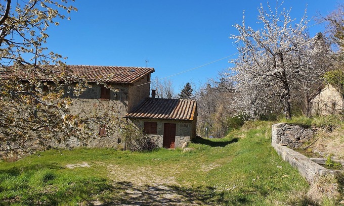 Vivo dʼOrcia Apartment | - Agriturismo La Piaggia - Forest View Apartment on the Ground Floor 2 Guests