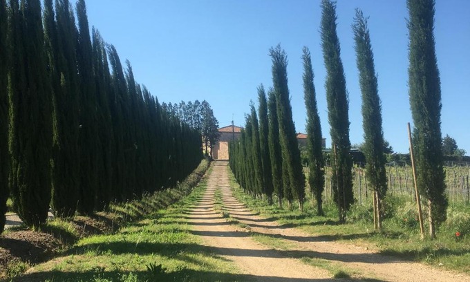 Serre di Rapolano House | Agriturismo Laura