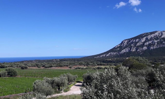 Dorgali House | Agriturismo Su Barcu