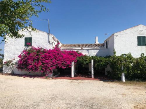 Ferreries House | Agroturisme Binisaid NOU