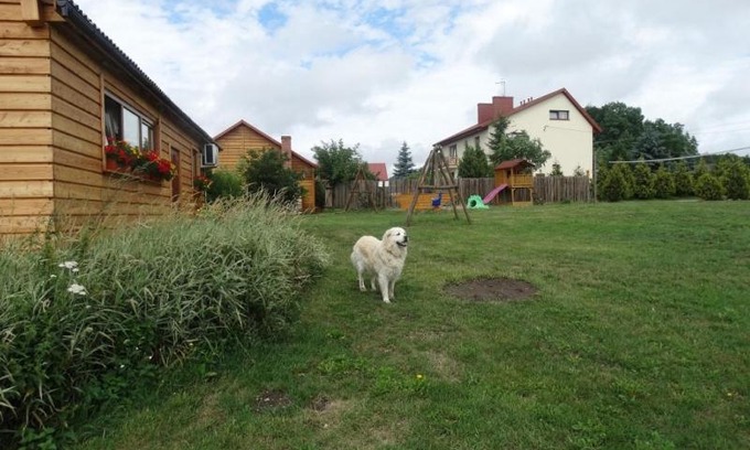 Baltow House | Agroturystyka U Zosi