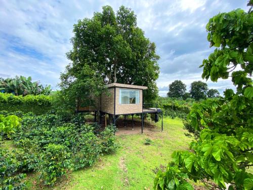 Montenegro Other | AIA Glamtree