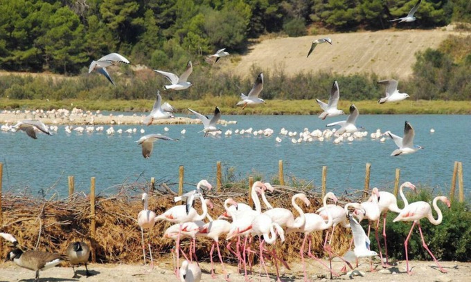 Maraussan House | Air-conditioned townhouse, Spa and large terrace 5 minutes from the town center.