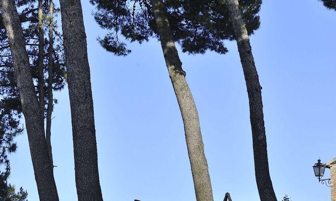 Montemaggiore al Metauro Hotel | Albergo Diffuso Borgo Montemaggiore