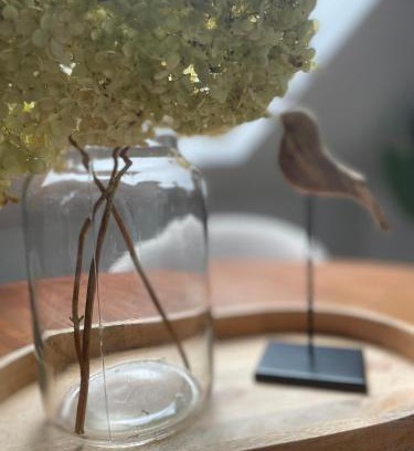 Bad Schallerbach Apartment | All Homes Apartments