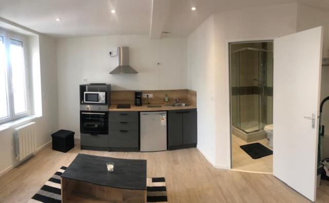 Saint-Etienne Apartment | Allies 103 super studio refait a neuf