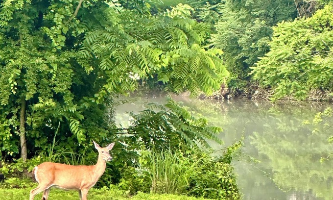 Grafton House | Almost Heaven @ the River: Family Fun, Work Week, Golf Getaway, or Football Fan!