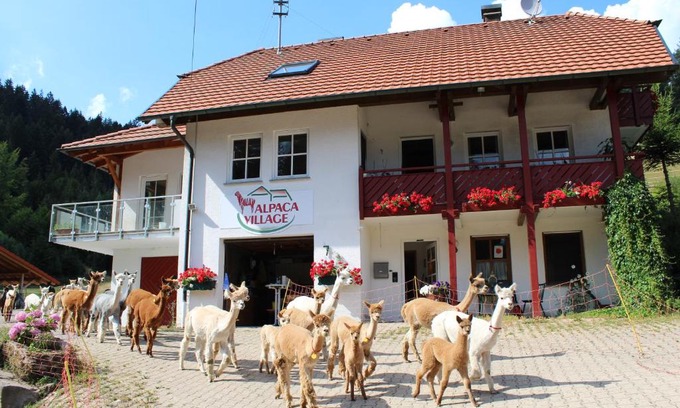 Lauterbach Apartment | Alpaca-Village