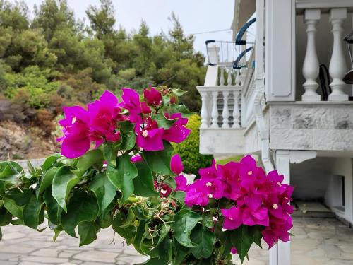Sithonia Apartment | Althea Three - Sithonia Chalkidiki 250m from the beach