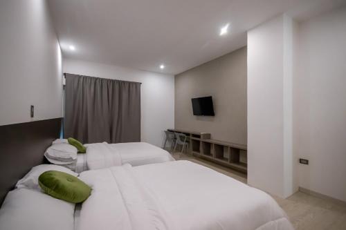 Maracaibo Hotel | Altitude Loft Hotel
