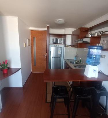 Downtown Santiago Apartment | Andina Suite 6