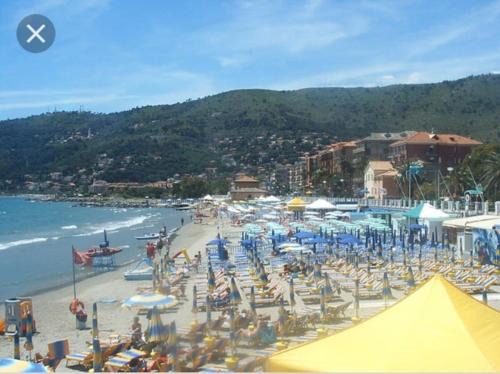 Andora Apartment | ANDORA, Villa INDIPENDENTE, ammessi ANIMALI, entrata e Giardino Dehor privato, luogo rigenerante ,SOLARIUM,Pace e relax,parcheggio privato gratuito