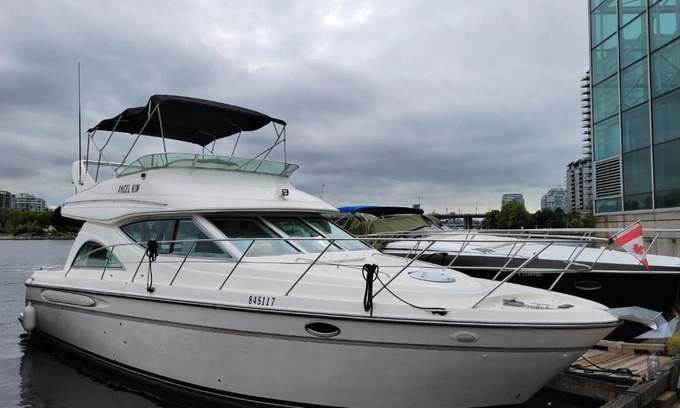 Central Boat Rental | ANGEL KIM