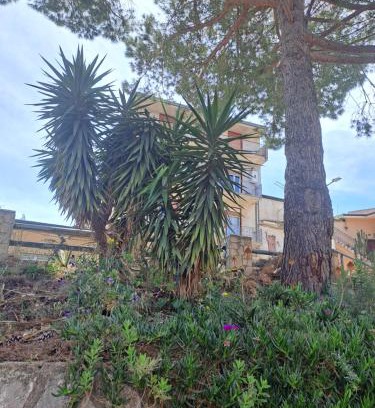 Marineo Apartment | ANGELA Rooms