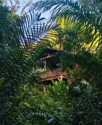 Velha Boipeba Hotel | Anjali
