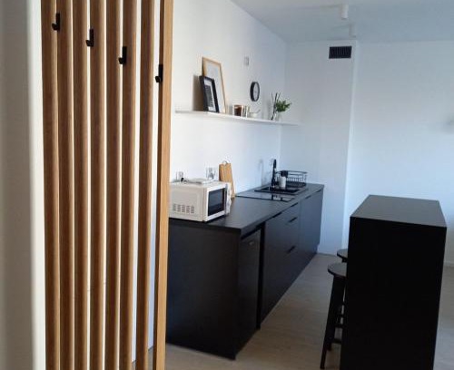 Lancut Apartment | Apartament 6