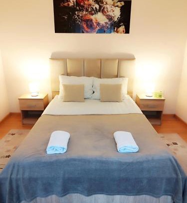 Arad Apartment | Apartament Andreas - centru, confort si relaxare