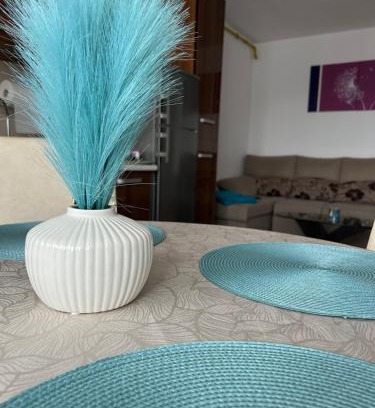 Bistrita Apartment | Apartament Sonia - 2 dormitoare