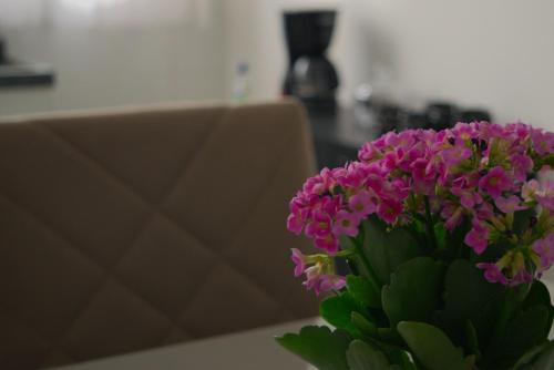 Holambra Apartment | Apartamento dalias em Holambra