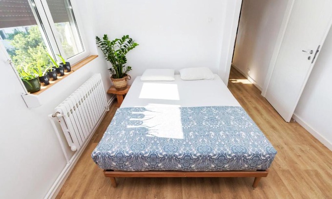 Doua Mai Apartment | Apartamentul cu plante Etaj 4