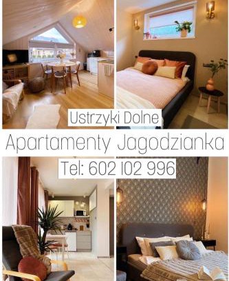 Ustrzyki Dolne Apartment | Apartamenty Jagodzianka - Jacuzzi, Sauna, Tężnia solankowa
