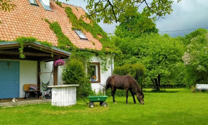 Mlynary Apartment | Apartamenty na wsi Horses&Relax