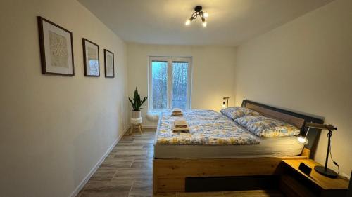 Spania Dolina Apartment | Apartmán ŠPANIA DOLINA