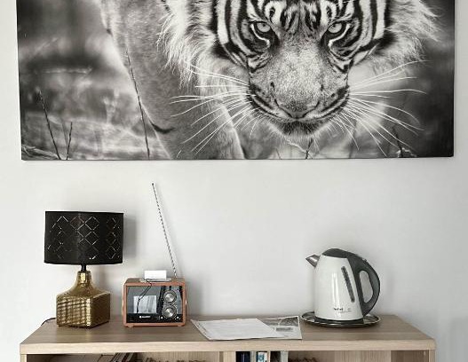 Piestany Apartment | Apartmán Lodenica