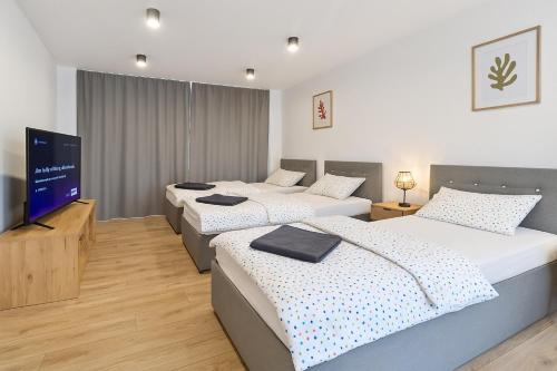 Strazske Apartment | Apartmán Strážske s balkónom