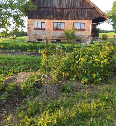 Skuhrov nad Belou Apartment | Apartmán U Milušky