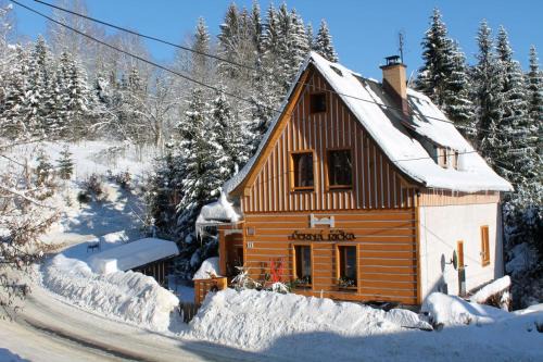 Albrechtice v Jizerskych horach House | Apartmány Černá Říčka
