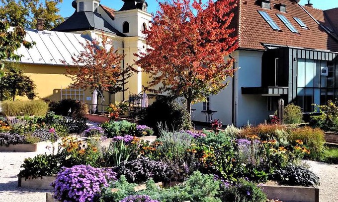 Dvur Kralove nad Labem Apartment | Apartmány Monastery Suites Žireč