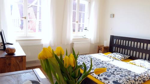 Broumov Apartment | Apartmány u náměstí