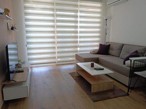 Veliko Gradiste Apartment | Apartman Sara S