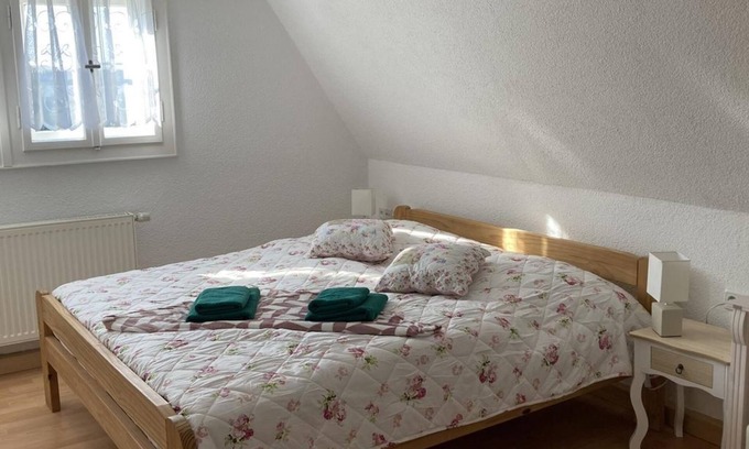 Altenberg Bed & Breakfast | Apartment/apartment, shower and bath, WC, mountain side - Pension ZUR 23