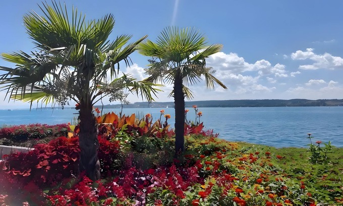 Ueberlingen Apartment | Apartment 'Directly On The Überlingen' with Lake View and Wi-Fi