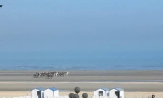 De Panne Apartment | apartment/flat - La Panne