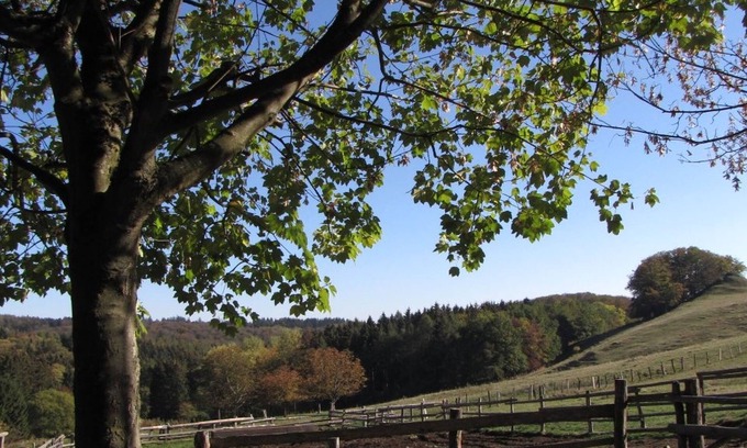 Bad Wilhelmshoehe Apartment | Apartment Hugo37, 30 qm, 1 Wohn-/schlafzimmer, Max. 2 Personen