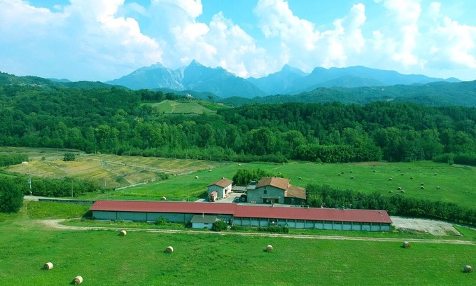 Gassano Other | Apartment "Il Mare" at Agriturismo La Preduscella