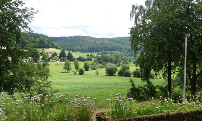 Beerfelden Apartment | Apartment Im grünen Eck 1