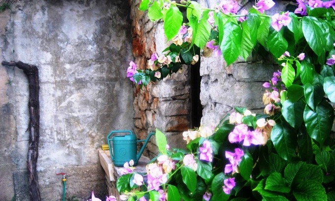 Island Hvar Apartment | Apartment in garden 400m from the sea