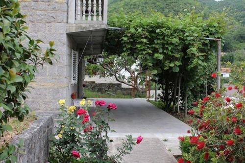 Bijela Apartment | Apartment in nature