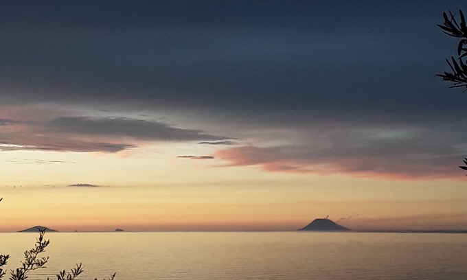 Province of Messina Apartment | Apartment in olive grove with sea view